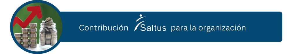 Grafica de dinero a la alza Contrubucion Saltus Organización