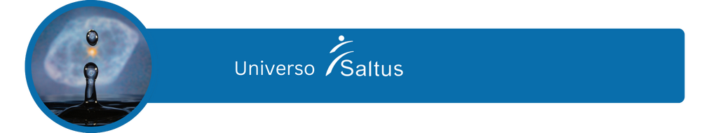 Grafica de dinero a la alza Contrubucion Saltus Organización